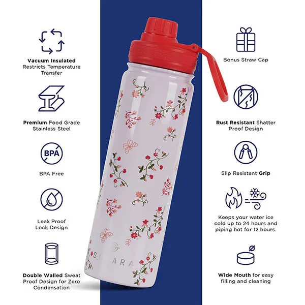 Insulated Water Bottle (2 Caps)