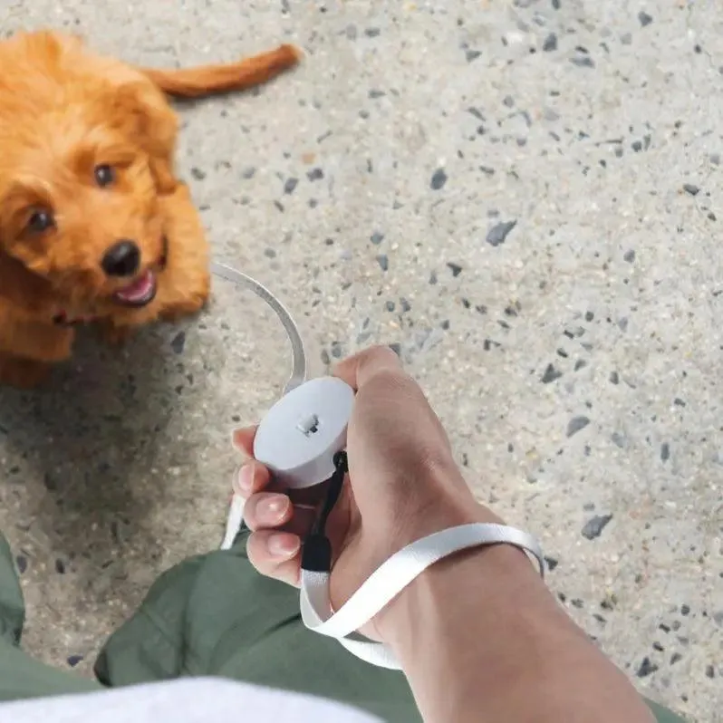 Retractable Mini Dog Leash