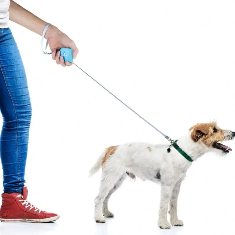 Retractable Mini Dog Leash