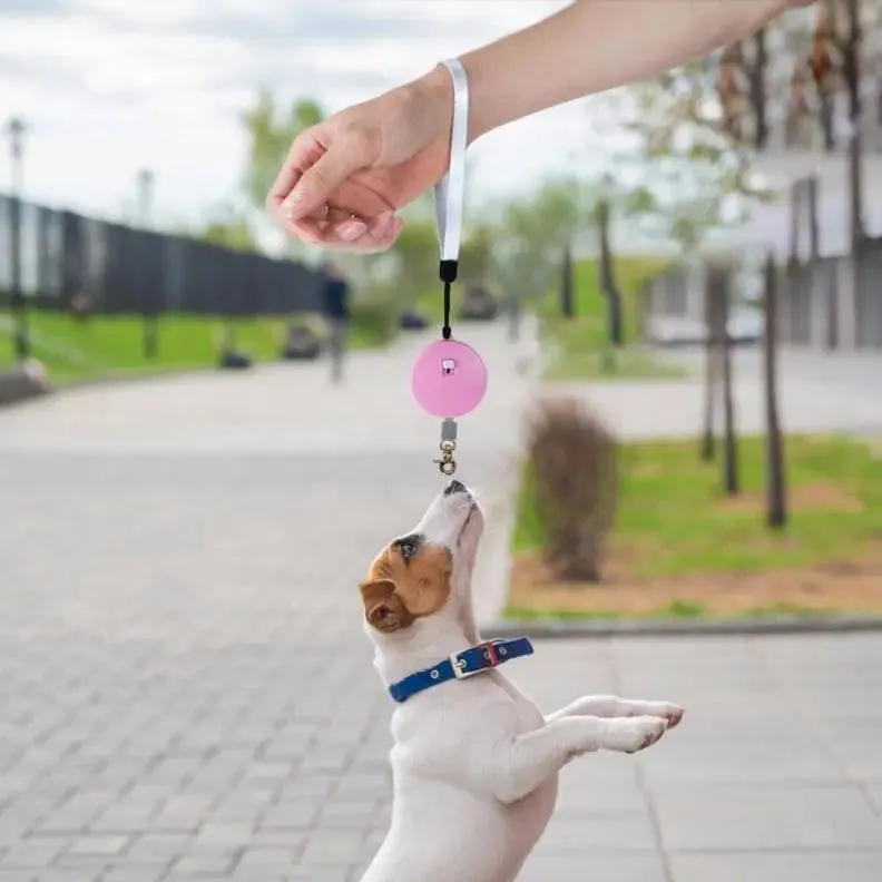 Retractable Mini Dog Leash