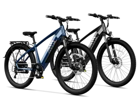 TST® Combo Sale Flyer 27.5" Commuter Convenience EBike